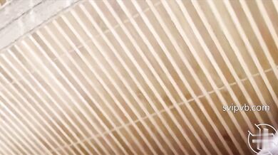 5一时爽是自掘坟墓，吓破胆了！