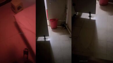 (探花)20240324_探花狼回归